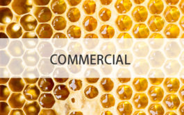 commercial cost consultants