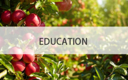 education cost consultants