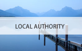 local authority cost consultants